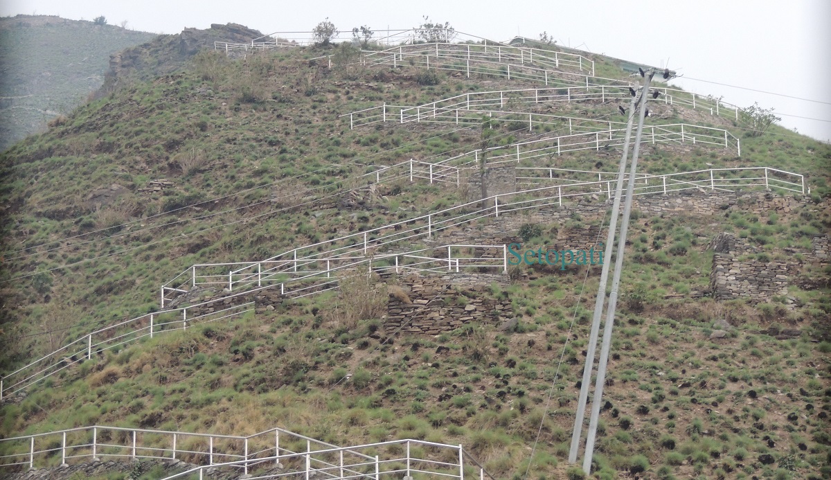 पिली डाँडा। तस्बिरः दिपकजंग शाही/सेतोपाटी